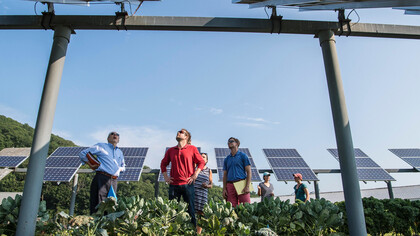 La crisis ecológica y su comercialización