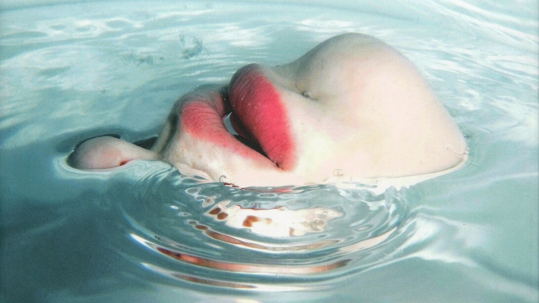 Yoko Ogawa, L’isola dei senza memoria. In un tempo non precisato, su un’isola senza nome l’intera popolazione progressivamente smette di ricordare