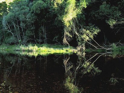 A view upriver of the Grootrivier, photographed by Obie Oberholzer