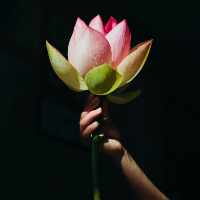 Il fior di loto, fiore dall'inenarrabile bellezza proprio come quella rara bellezza che puoi trovare nella donna che incarna il Sacro femminino
