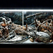 Adrián Villar Rojas. Courtesy of MOCA