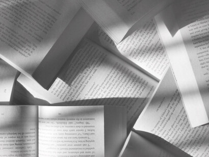 Philosophers are interested in expressions of politics that are based on the will of mankind