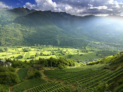 Vitigni in Valtellina