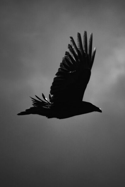 Parole terribili, immagini angoscianti e a volte rivoltanti