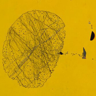 Gianfranco Baruchello, Grande Truncops giallo (particolare), 1960-1961, Tecnica Mista su legno in teca di plexiglas, 120 x 100 x 3,5 cm