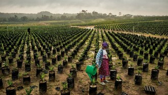 Morocco Generation Green