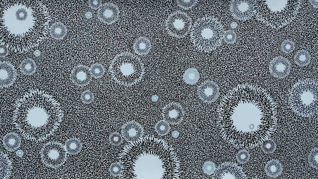 CC Two, 2017, ink on dura-lar, 40 x 40"