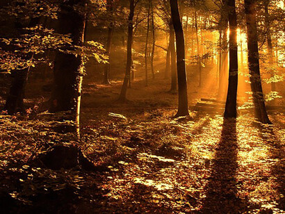 Non esiste oggi una cultura laica della morte