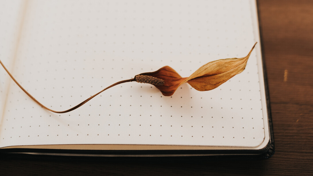 Folha seca repousa sob folha em branco