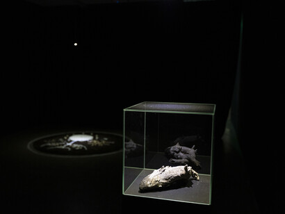Various artists, Żabie Doły, a group exhibition, exhibition view. Courtesy of Kronika Centre for Contemporary Art
