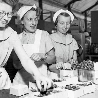 A look at the kitchen of the Helsinki Olympic Games on August 20, 1952
