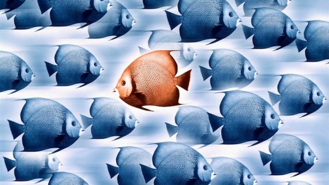 Leaders do not follow