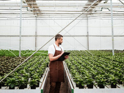 Investigating the next generation of plant-based resources: this young researcher's work could contribute significantly to both biodiversity preservation and sustainable development