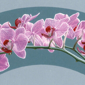 Flowering. Courtesy of Nancy Hoffman Gallery