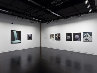 Site seeing, exhibition view. Courtesy of City Gallery