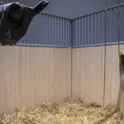 The Quest For Happiness. Courtesy of Serlachius Museum