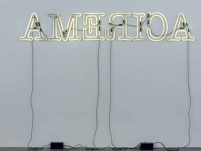 Glenn Ligon (b. 1960). 	Rückenfigur, 2009.  	Neon and paint, 24 × 145 1/2 × 5in. (61 × 369.6 × 12.7 cm).
	Whitney Museum of American Art, New York; purchase, with funds from the Painting and Sculpture 
    Committee  2011.3a i.  © Glenn Ligon 

