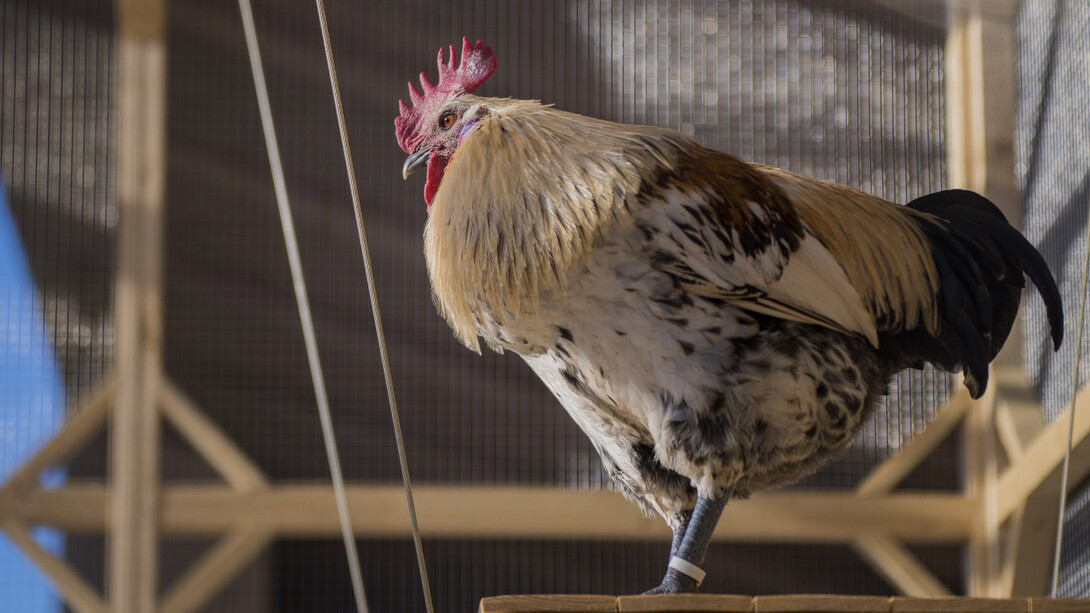 It's about time. Courtesy of Serlachius Museum