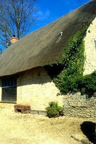 Cotswold, photo by Alma Reyes