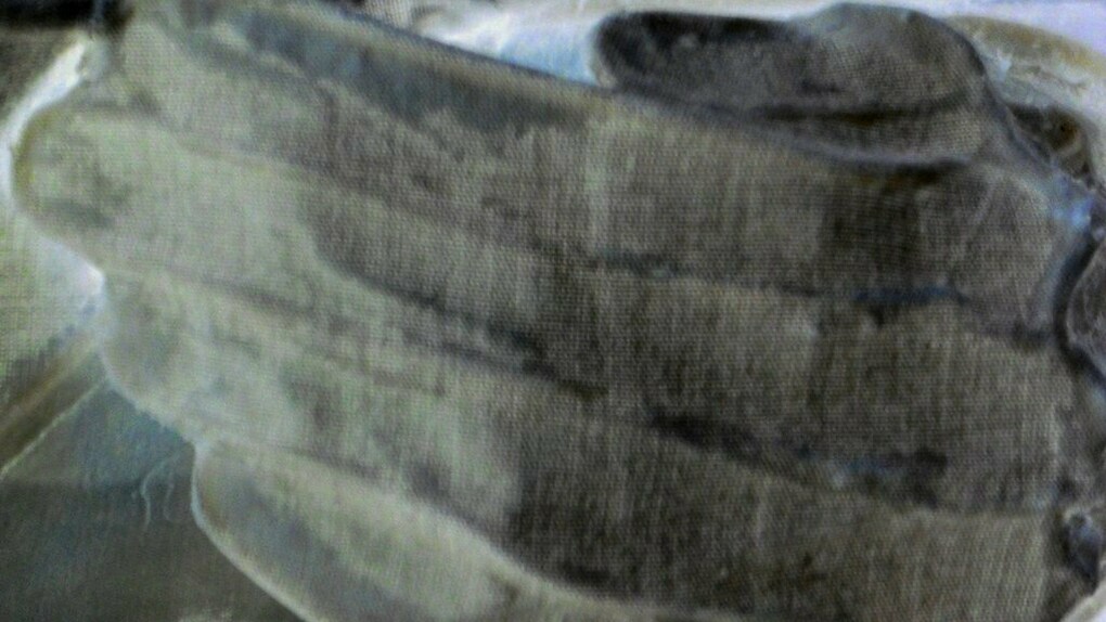 Kleoniki Vanos, Touch is a language