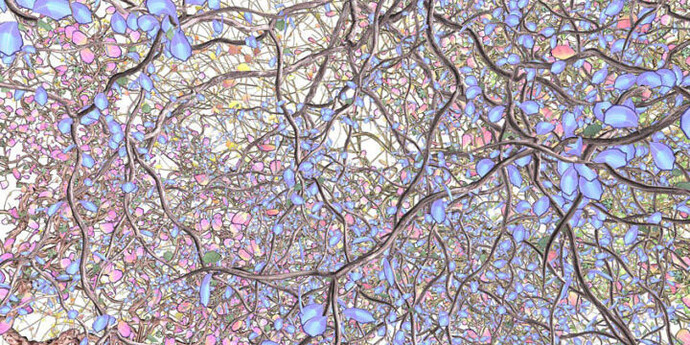 Jennifer Steinkamp. Courtesy of The Portland Art Museum