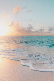 The beach