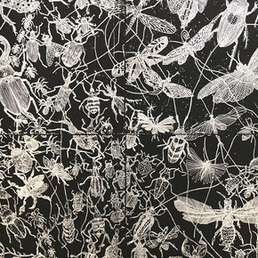 Claire Burbridge, Insects. Courtesy of Nancy Toomey Fine Art Gallery