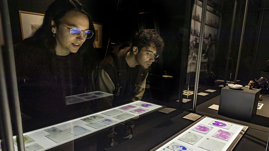 Cerebro(s), vista de exhibición. Cortesía de la Casa de la Ciencia