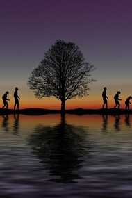 L'evoluzione dei primati in prospettiva. Negli ultimi 150 mila anni siamo diventati degli uomini sapiens, al contrario degli scimpanzé, che sono così come sono da circa 7 milioni di anni! 