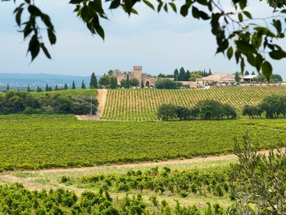Vigneti nella regione vinicola di Châteauneuf-du-Pape, nella Valle del Rodano meridionale, Francia