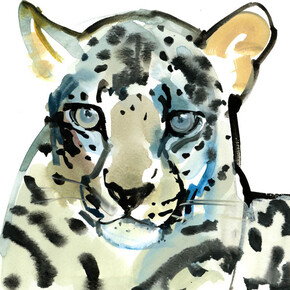Mark Adlington, Arabian Leopard: Ochre, Watercolour, 10 x 10 ins, Unframed
