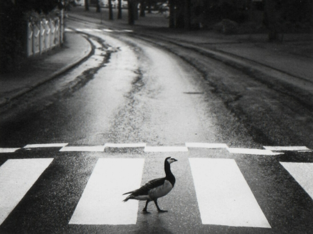Warm Regards. Courtesy of Photo-eye Gallery
