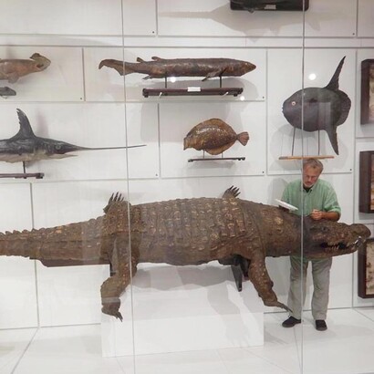 Kosmos, Palazzo Botta Adorno, Pavia