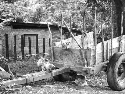 Pobreza en Nicaragua