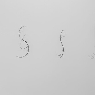 A Silent Conversation. Courtesy of Daniel Marzona