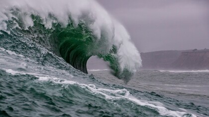 La sorte del mare, infatti, appare minacciata dall’inquinamento e dagli sversamenti reiterati di sostanze inquinanti