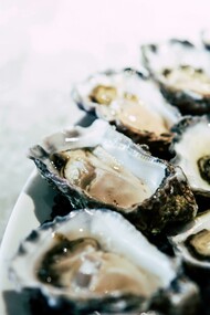 Freshly shucked oysters glisten on a cold plate, evoking the briny depth of Lowcountry tradition