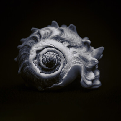 Quando si è in possesso di qualcosa, è importante ragionare e comprendere di cosa si tratta 