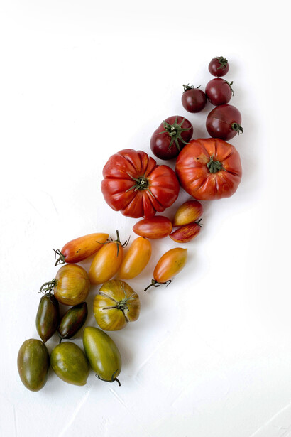 Todo se desarrolla de manera lineal.