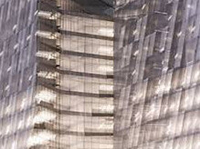 Hedge. Courtesy of CAM