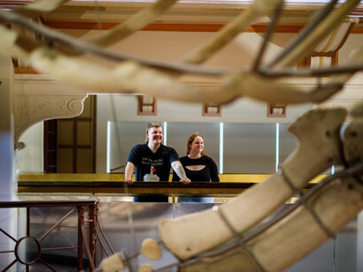 WA treasures, exhibition view. Courtesy of Western Australian Museum