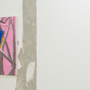 Snowbirds. Courtesy of Nina Johnson