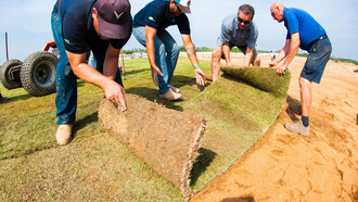 Río 2016. Instalando o grama do campo de golfe