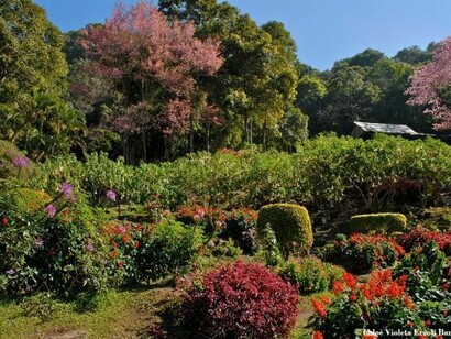 Beautiful park in Thailand