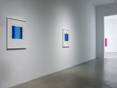 Matter of Light. Courtesy of Ace Gallery