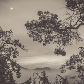 Julian Lennon, Asian dusk, 2017. Courtesy of Fremin Gallery 