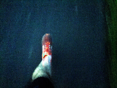 Paolo Meoni - Silhouette