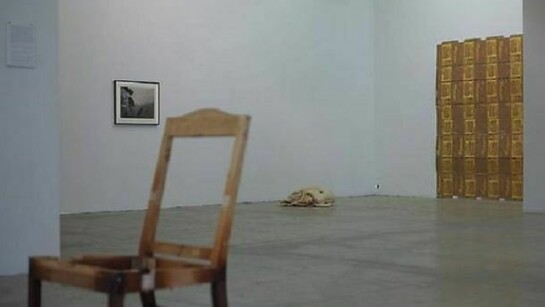 Instalation View