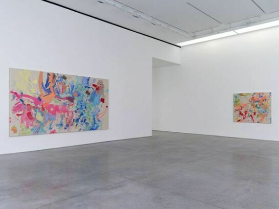 Installation Views. Courtesy 303 Gallery, New York