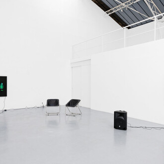 Diana Thater, The conversation, vue d'exposition. Avec l'aimable autorisation de la Galerie Hussenot